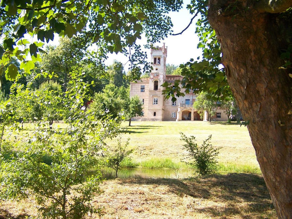 Palac Dabrowica Dabrowica  Exterior foto