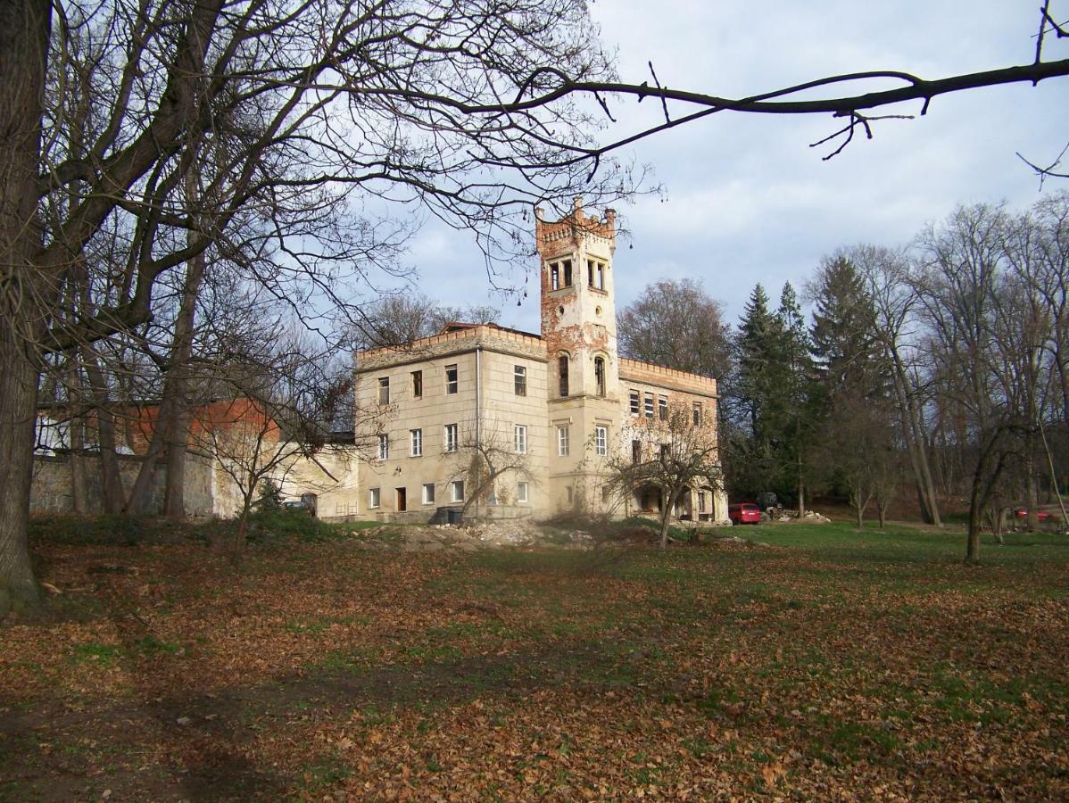Palac Dabrowica Dabrowica  Exterior foto